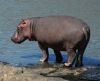1601588488_.thumb.jpg.3b8dfc0056ffe644c063559e9fed5190.jpg