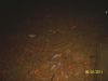 1778563193649.thumb.jpg.031ec126cf14fe6ead96a23384cbfb64.jpg