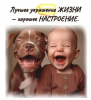 2026-03-24_15-48-27.thumb.png.9d5af16d7a8bcf785b5978d569fde1e5.png