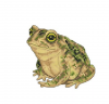 2026-07-04_20-40-21.thumb.png.b1db0938b76537e298983cb6a7978771.png