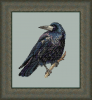 2026-07-17_19-34-51.png