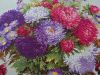20260705_190422.thumb.jpg.c7d83bd3e57a0e7845ab42ac1dc03709.jpg