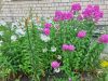 20260714_074303.thumb.jpg.4e28dcade1ba289c7a0bb9765e386047.jpg