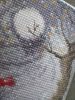 20260715_110551.thumb.jpg.1912bf08ff7eb14cc54fd6b6987a60f8.jpg
