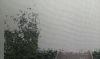 20260717_090006.thumb.jpg.73254943a330f703e4c9a75b7820043a.jpg
