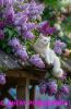 2099181763_.thumb.jpg.f3010d4473d36da2e28727fa512a8d54.jpg