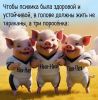 4e4fc03480cefb655ed5fce3812c923f.thumb.jpg.c62e0f0a5d39c47fedc8354b4db60dc8.jpg