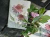 526_145049.thumb.jpg.eca91c9607c840a9cb094699599da5a1.jpg?1784914366652
