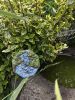 IMG20260620123434.thumb.jpg.b1276f784fe63f6d7b1b3ddeaae9dc71.jpg