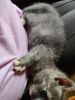 IMG_20260716_125123.thumb.jpg.c46e0593e440476b7cea0d47a5888736.jpg