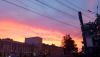 IMG_20260722_120851.thumb.png.789ce7ac86ade0045d9e763af4bbd65e.png