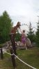 IMG_20260722_153629.thumb.png.01c116f0c4142fdd70d3bc4171816ba8.png