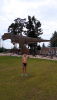 IMG_20260722_153631.thumb.png.12e2208050ce1a2544584ea61aa5f365.png