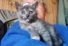 IMG_20260723_092632.thumb.jpg.2e73f7811fbf06c87ee12b3d41991f61.jpg