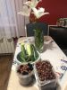 IMG_5604.thumb.jpeg.4eb9eb5e5bc53fab6eb8eae1c5b1a906.jpeg