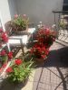 IMG_6049.jpeg