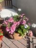 IMG_6050.jpeg