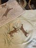 IMG_6074.jpeg