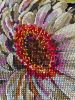 IMG_6482.jpeg