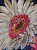 IMG_6484.jpeg