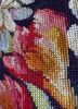 IMG_6485.jpeg