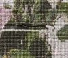 IMG_7342.thumb.jpeg.e106c31ee1dd69a0ef618575d8483ba2.jpeg