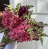 IMG_7632.thumb.jpeg.abed06f8b8e4d3074359f23f10604917.jpeg
