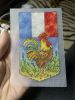 IMG_8881.thumb.jpeg.f83ce34c00914c03012a7dd920c86b7e.jpeg
