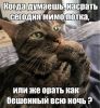 c8aab5d11b110f421011a76a1dc77723.jpg