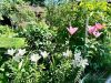 ckl6KpMu6xWfgbb1noPlc1OBGfNnCCoubRuOFT5ZHpIcjHlgKyWLZqBeQAqpOSLeVfYy19yggtJJ17xUer1egfpq.thumb.jpg.96813a344c064de7ff1e51cfce680e29.jpg