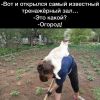 d3f1be2f5cc45069c0402fc18f197ae3.thumb.jpg.b4b621817766eefd500ac0bb847c1a9f.jpg