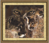 image.thumb.png.59409a48ea7a940883789101877dbb8c.png
