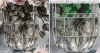 image.thumb.png.b43faff0710c3e135faaf4206cd30ca8.png