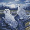 kk_moonlight_owls_99333.thumb.jpg.9fecc22bb86fd50aefc725136b2b3d0b.jpg
