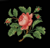 0.png.f6ba60199fac288d07649f7674d878bd.png