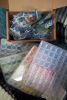100_4084.thumb.JPG.fbd85e634d24d57f0abcd49a8d58540e.JPG