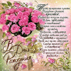 1498589106_2.thumb.gif.0dc9d266d2bb0c325569e7ecaab2f7c6.gif