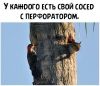 1730150530_54.thumb.jpg.b1bd0b8b34753cc8bb7357c5bf73c4ca.jpg
