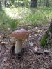 20260820_110656.thumb.jpg.655b5c022bb2daf50ec6d4f7ca344432.jpg