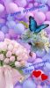 2135135077_.thumb.jpg.9dc06c12069defde82809d64381cfd13.jpg
