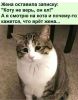 468464764_51.thumb.jpg.6cbf1a709224932c7ab0faebdf5c65c3.jpg
