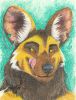DONE_(6).thumb.jpg.edaaa8aa82692a161c51c3656416b71e.jpg