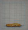 DSC00316.thumb.JPG.45b13a11af7072bdcdcb53e7b7a53094.JPG