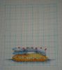 DSC00317.thumb.JPG.36e8408bda422fcb6bcb11ff5828363d.JPG