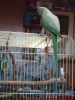 DSC08259.thumb.JPG.bb9be29ff7638640bb2131bc5be7ba75.JPG