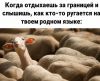 GtgVChaDyyT1V6EGBgqWXSCG9sVPJgZMrQtIULrtcKxHTcT1fQzka1Uf3xGrPRR2cI2xVljAoxE0xxQsIaR1pH7J_edit_367475062695286.thumb.jpg.81a5620260cbd3fc092a7f2d15a4d9bf.jpg