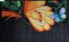 IMG_1117.thumb.jpeg.c4cec4c012cefecb2ada7f154bc0d4d8.jpeg?1786699584580