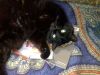 IMG_20220415_184230.thumb.jpg.abb8958b87b1723e277302ba92162fc1.jpg