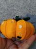 IMG_20251006_032714.thumb.jpg.97190e20ee22edcdc5a76fd5895cc95b.jpg