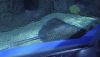 IMG_20260527_132427.thumb.jpg.67e3e8fe3b38e23f6d0cd5585fcc373f.jpg